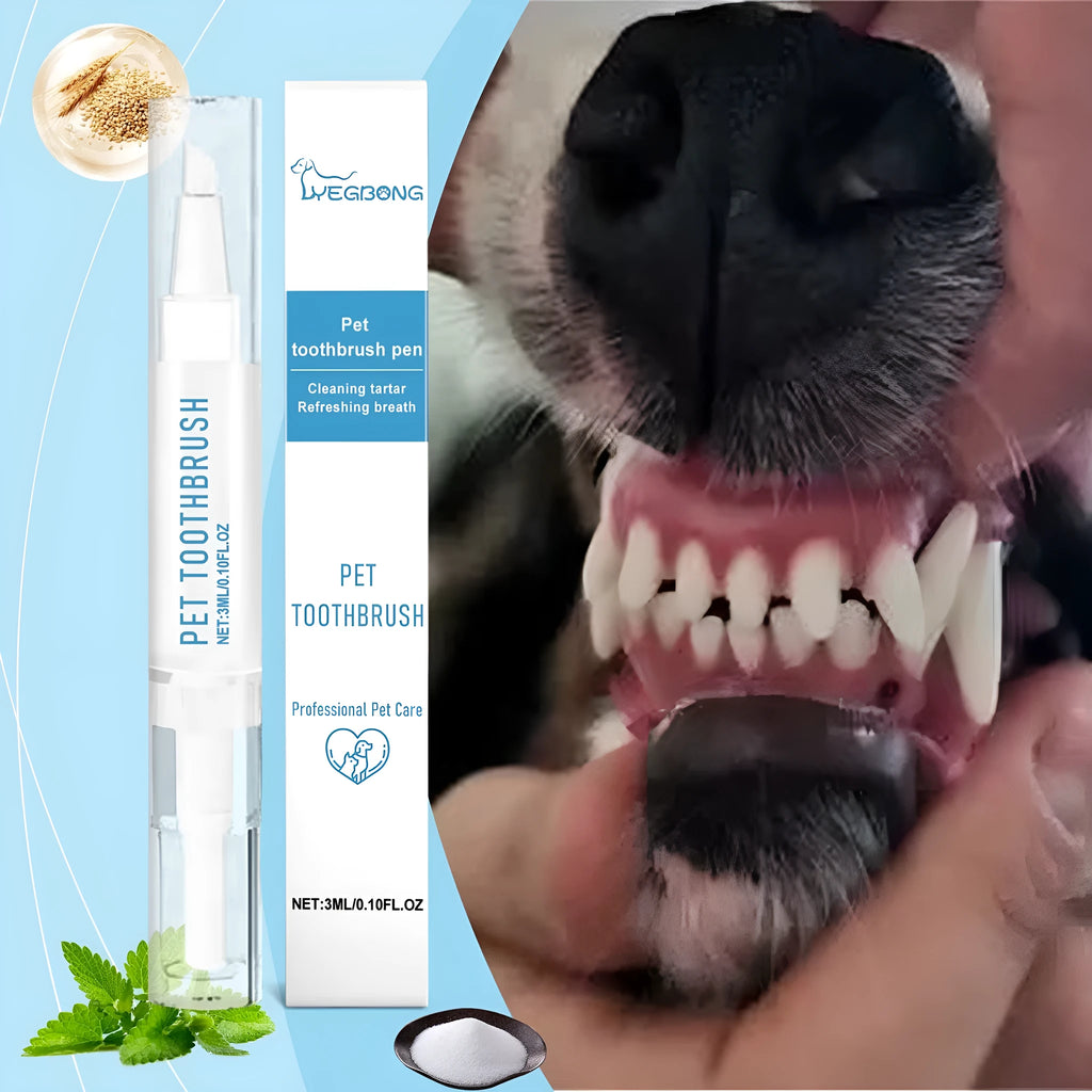 Pet toothbrush pen with soft bristles and 3ml toothpaste volume for dog and cat dental care