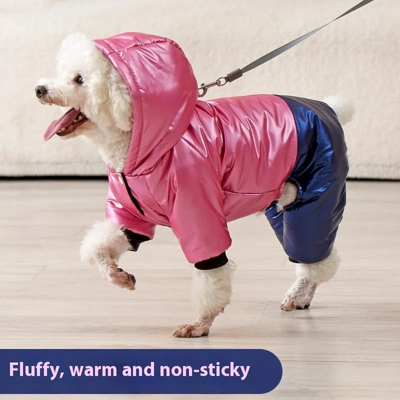 Green waterproof dog winter coat with four-legged design on medium-sized dog