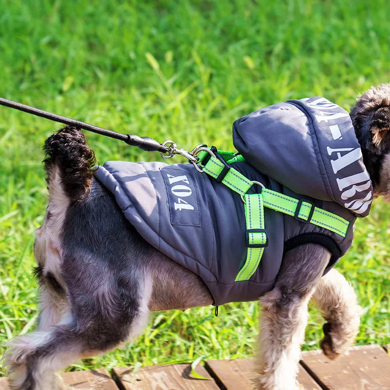 Red fleece-lined waterproof dog coat with hood on a small dog