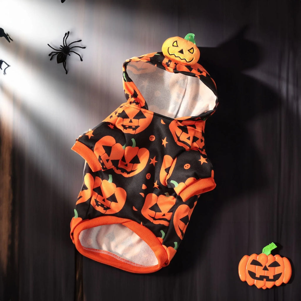 Orange polyester pumpkin sweater for dog or cat in a festive autumn pose
