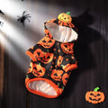 Orange polyester pumpkin sweater for dog or cat in a festive autumn pose