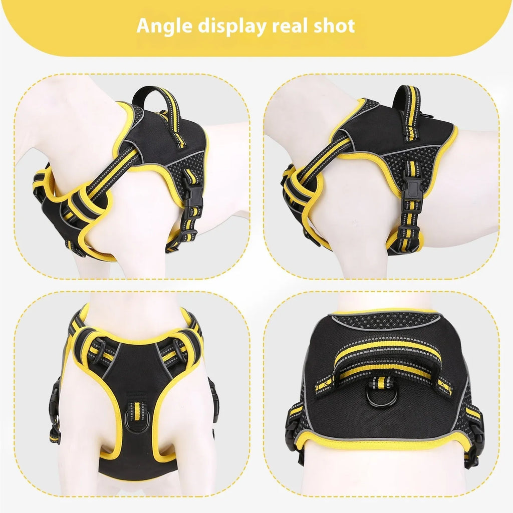 Yellow and orange polyester dog harness and leash set shown in small, medium, and large sizes.