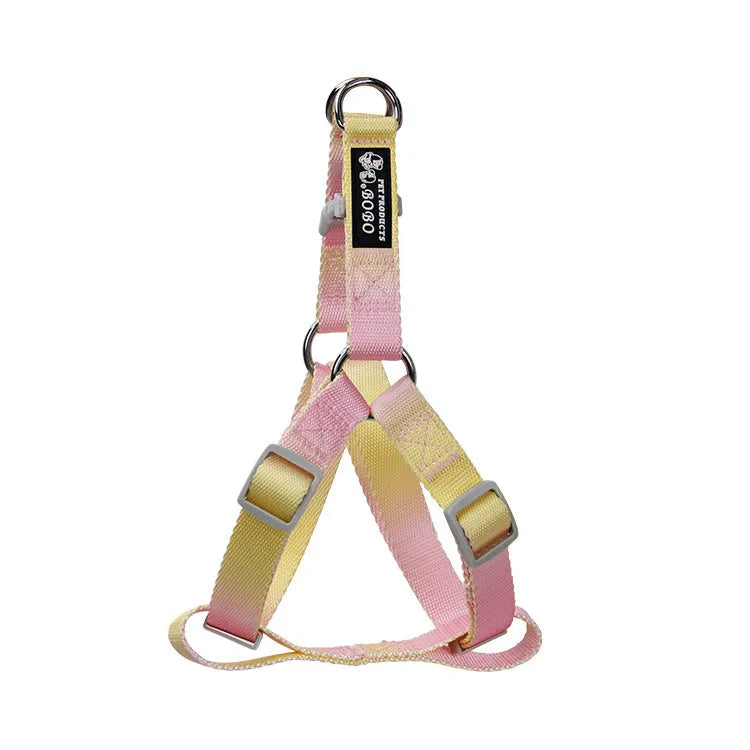 Nylon dog leash and gradient colour collar set in pink and blue, showing S and M size options.
