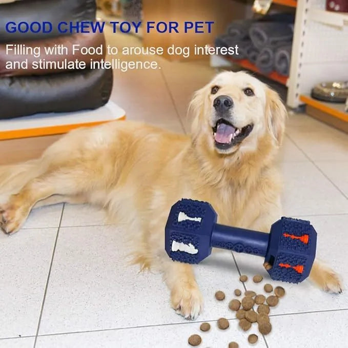 Blue rubber dog chew toy shaped like a dumbbell with a textured surface.