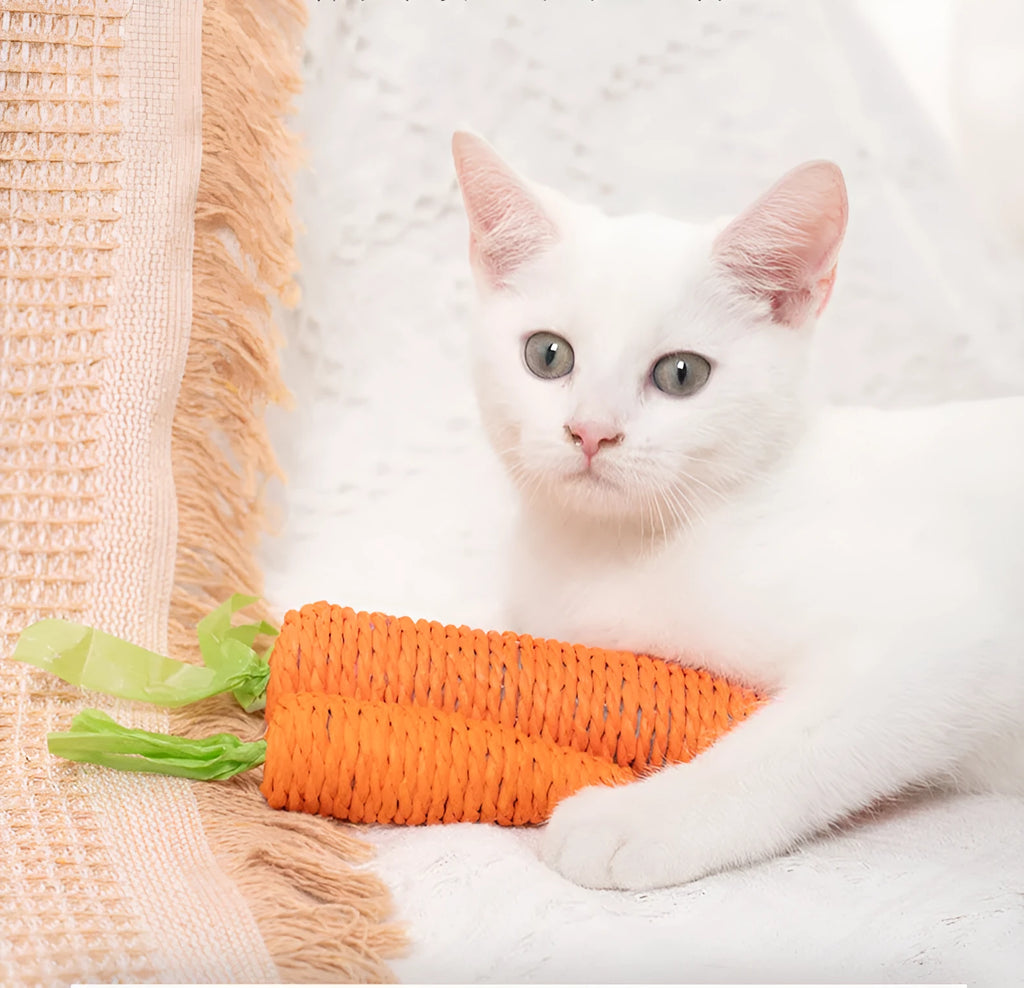 Assortment of cat toys including carrot-shaped paper bites, plastic ringing stones, and textured grinding sticks in two size options