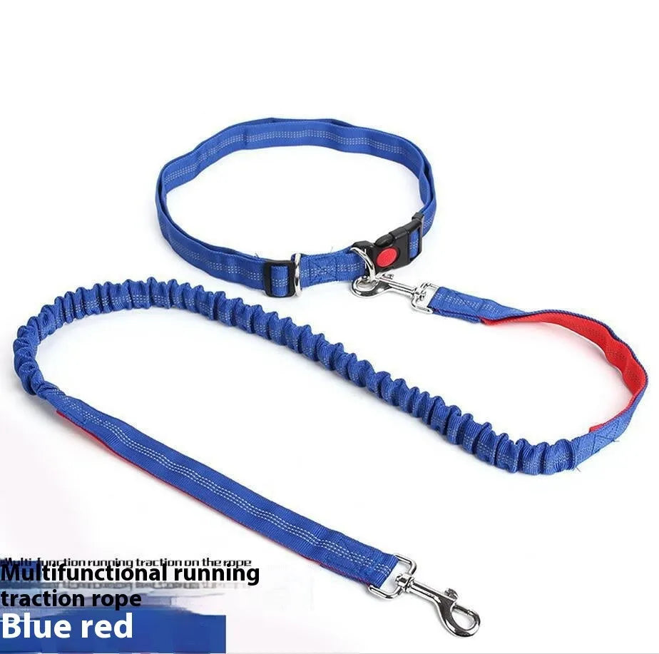 Grey and blue elastic dog leash with reflective sling for outdoor running.