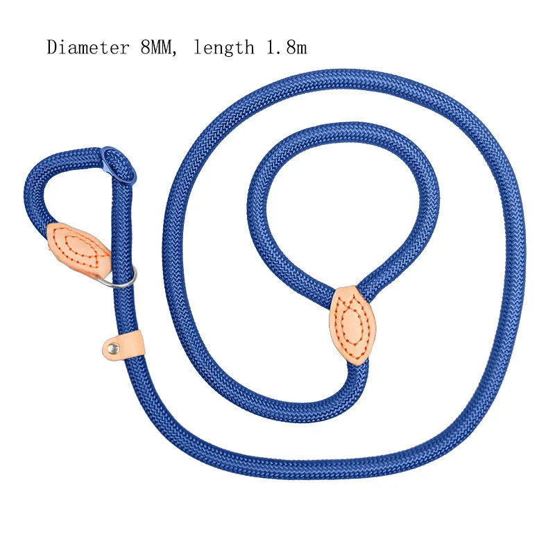 Blast race training dog leash with automatic tightening nylon collar in multiple colour options.