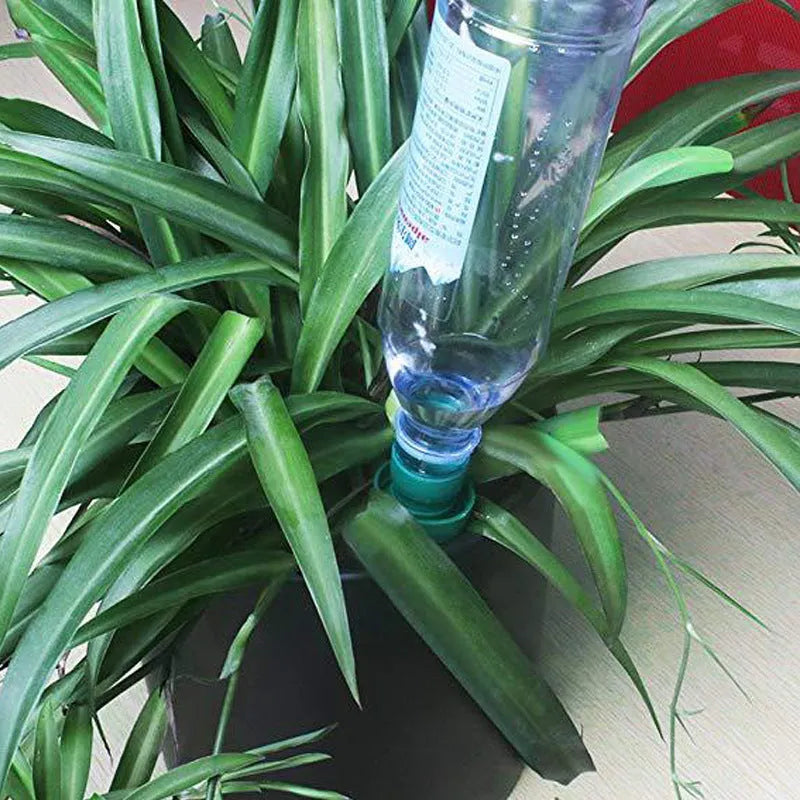 Green ceramic automatic water dripper device for attaching to a cola bottle for plant irrigation.