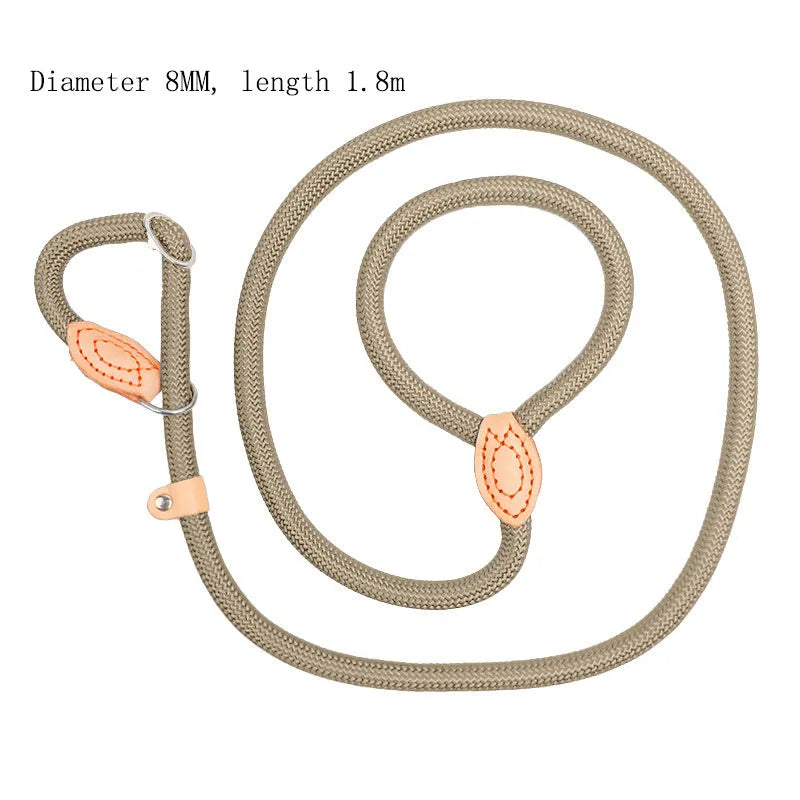 Blast race training dog leash with automatic tightening nylon collar in multiple colour options.