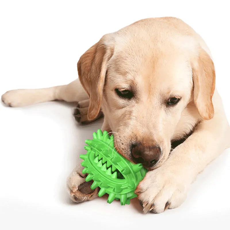 Green cactus-shaped dog toothbrush toy for medium to large breed aggressive chewers