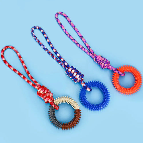 Braided cotton rope knot dog toy in bright colours for biting and tug of war play