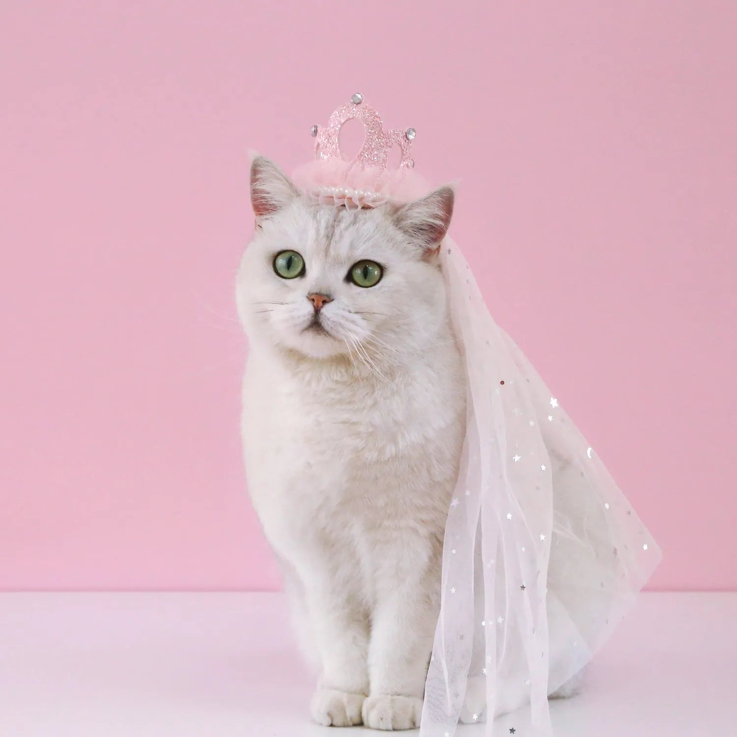Cat wearing princess crown headdress with lace veil in beige or pink
