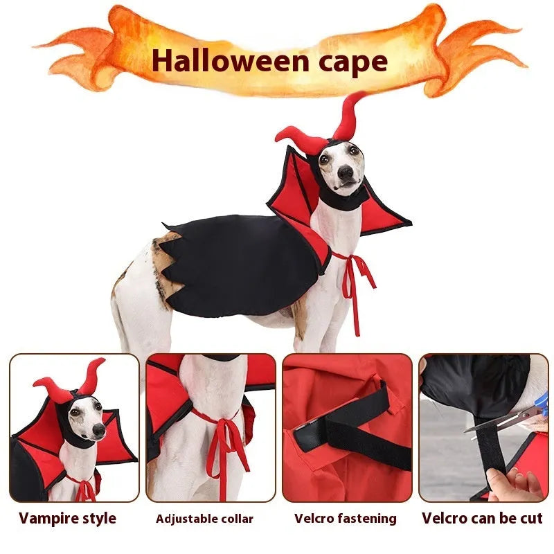 Black vampire cloak and pointed hat Halloween costume for a small dog or cat.