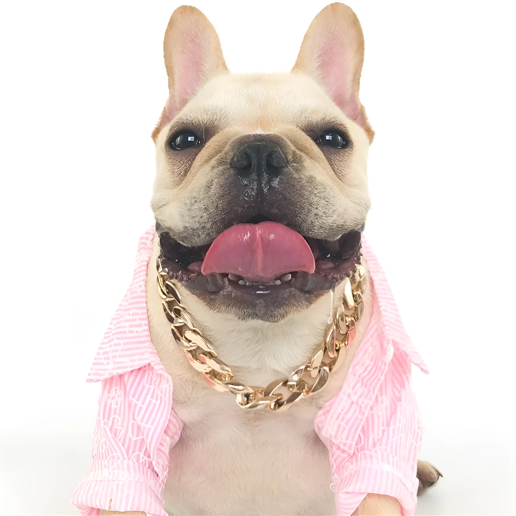 Geometric twisted chain dog collar in gold colour with plastic/resin construction for small-medium pets