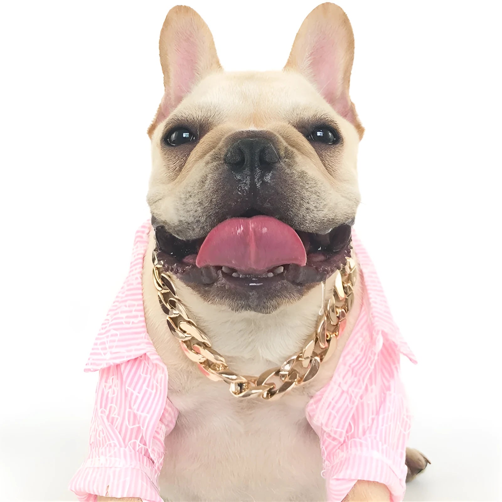 Geometric twisted chain dog collar in gold colour with plastic/resin construction for small-medium pets