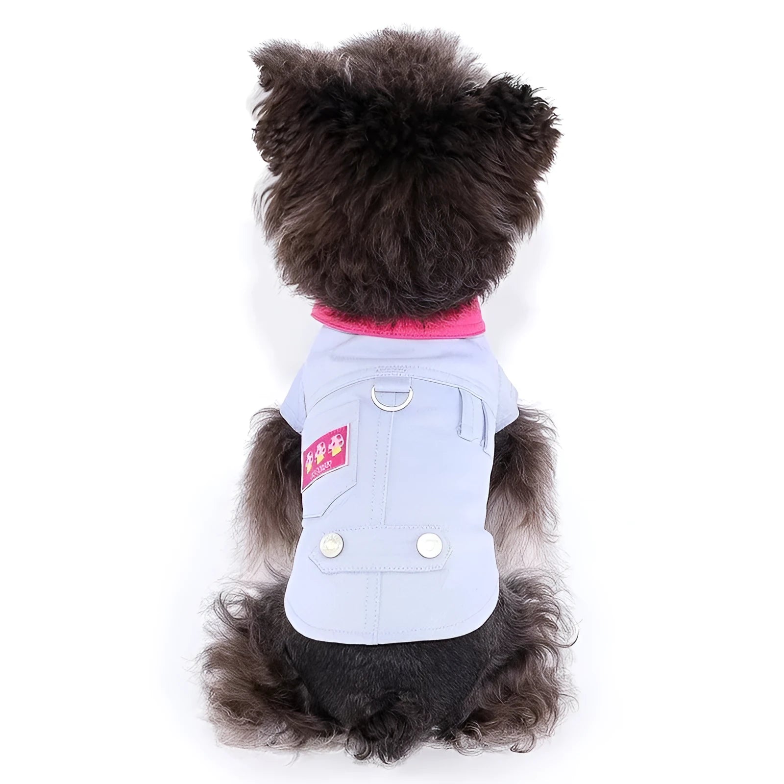 Blue and purple polyester dog vest for small breeds with integrated leash ring, sizes XXS to XXL