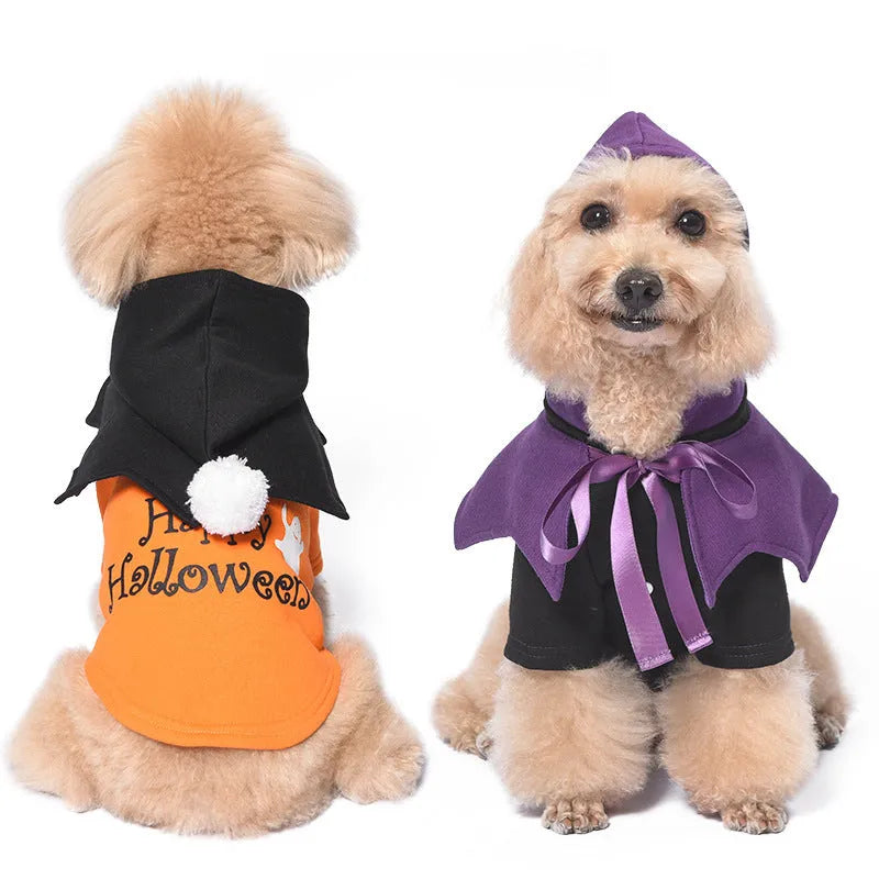 Halloween pumpkin design dog costume with black cotton sweater and orange pumpkin pattern