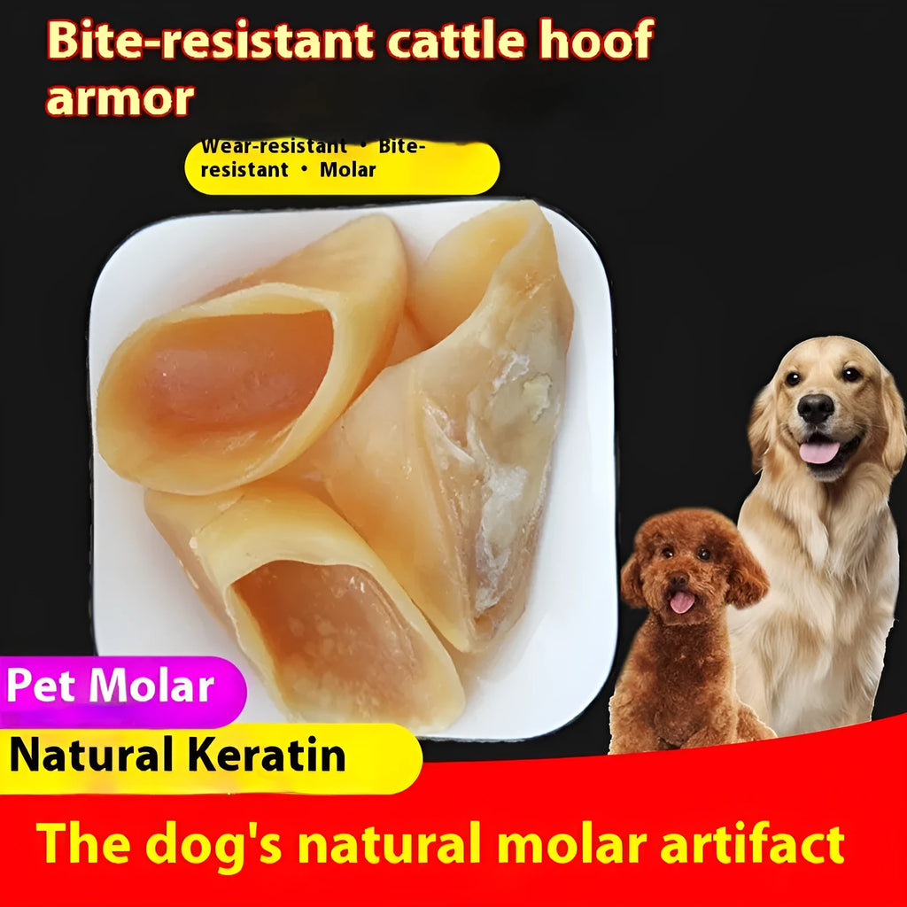 Natural cowhide hoof shell dog chew toy for small and large breeds
