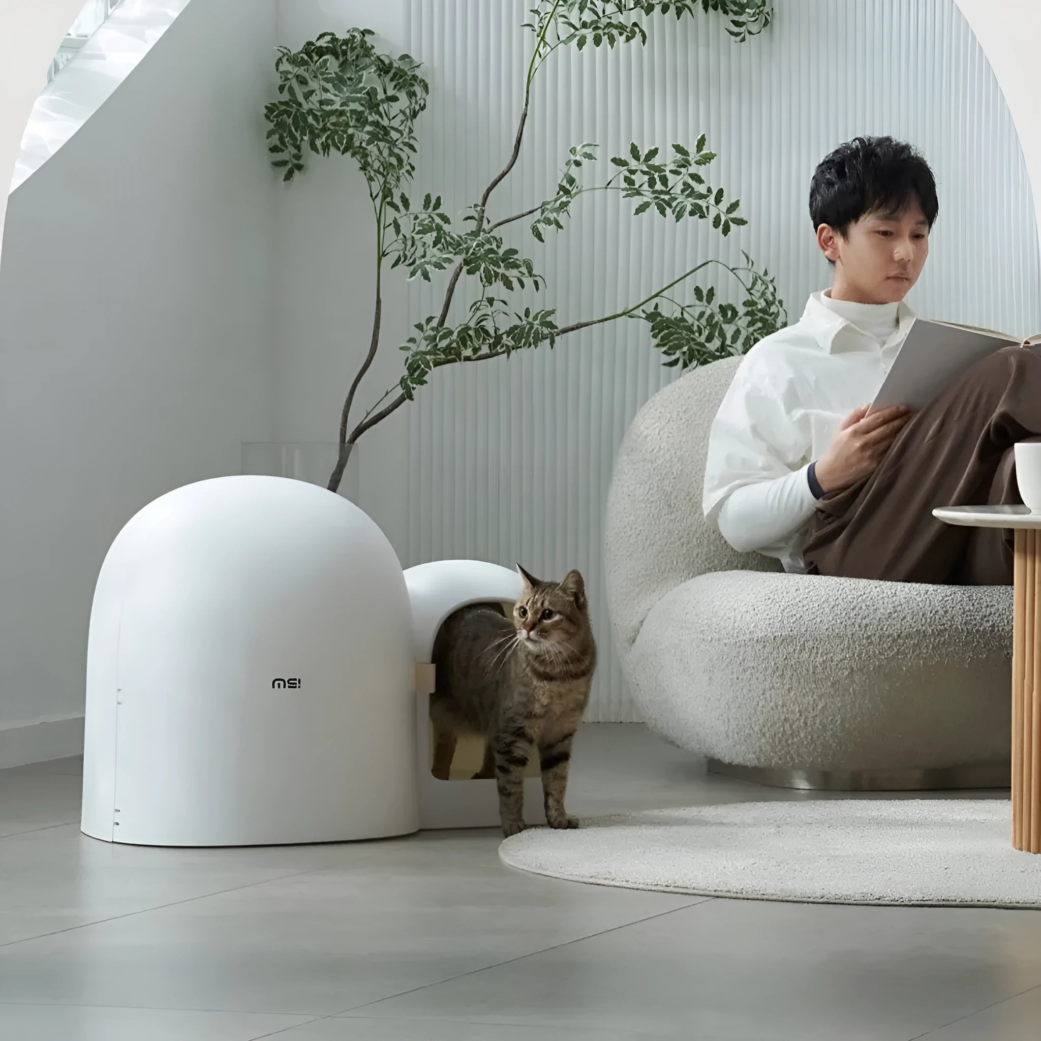 Large white fully enclosed cat litter box with a hood, shown next to a cat for scale.