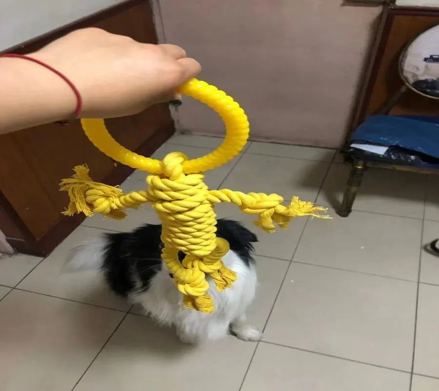 Cotton rope dog chew toy with 14cm ring diameter and 50cm length in blue