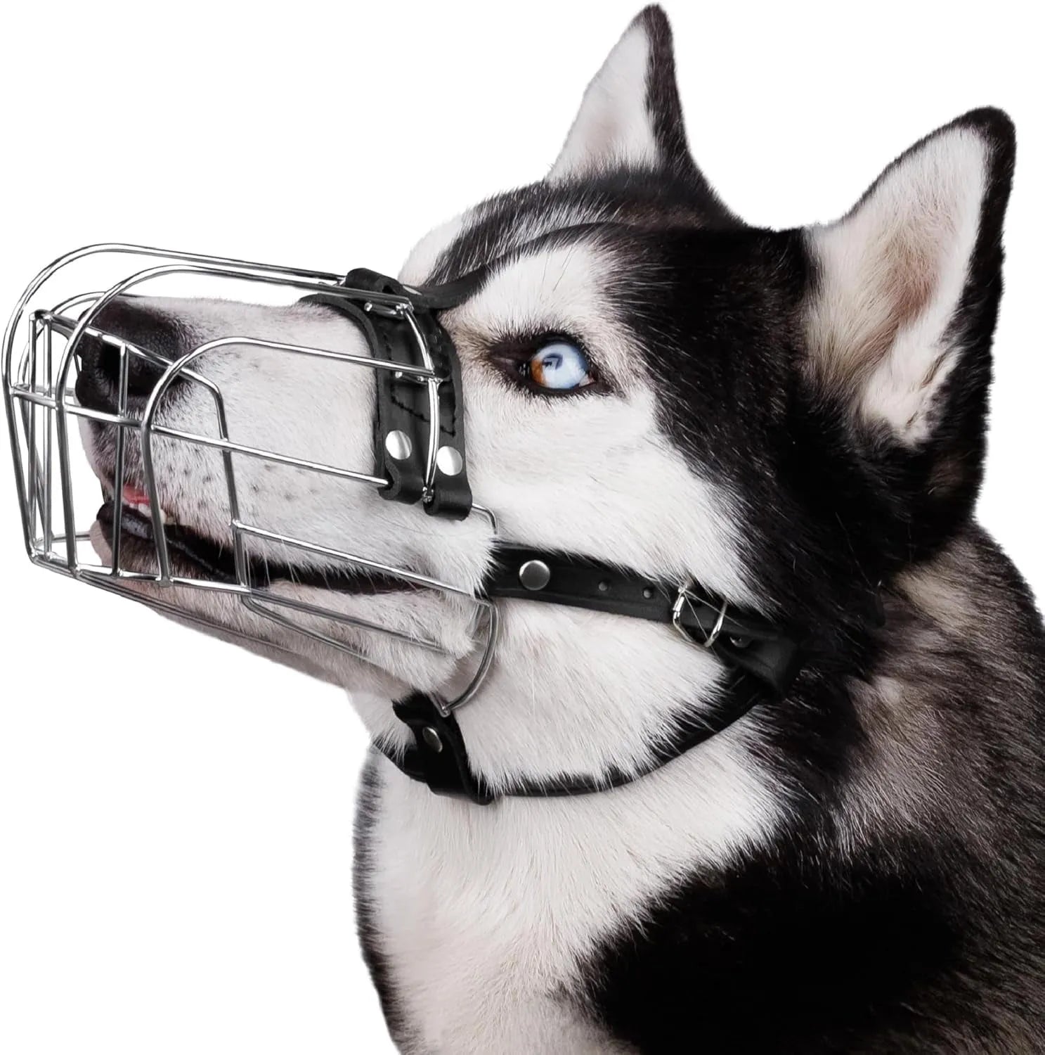 Black metal dog mouth cover muzzle designed specifically for Golden Retriever and German Shepherd breeds