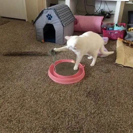 Blue interactive cat scratcher toy with round corrugated cardboard pad and rolling ball in track.