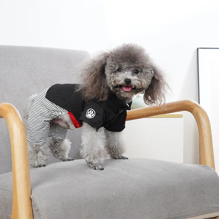 Thin cotton dog clothes for poodles in skirt and four-legged pants styles for spring and autumn seasons