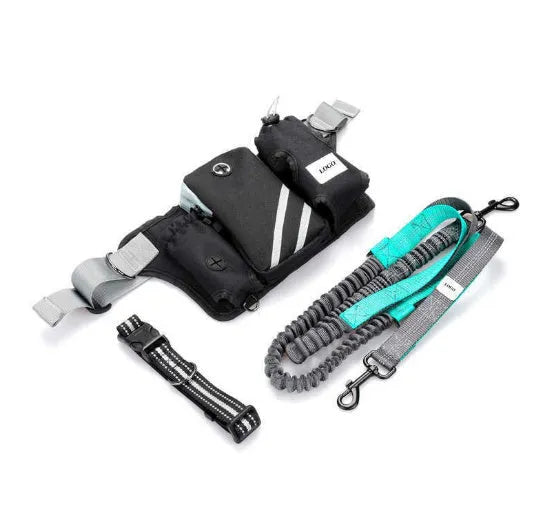 Black nylon outdoor pet training waist bag set with adjustable dog walking leash for hands-free control