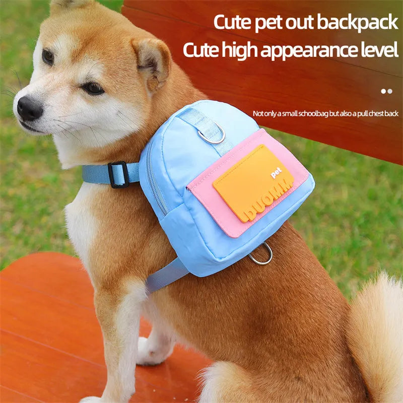 Blue adjustable dog backpack harness with storage compartments and a tow rope, shown on a medium-sized dog.