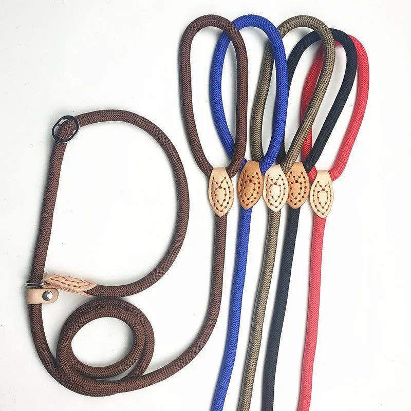 Blast race training dog leash with automatic tightening nylon collar in multiple colour options.