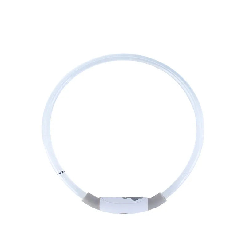 Blue USB rechargeable LED dog collar glowing on a dog's neck at night