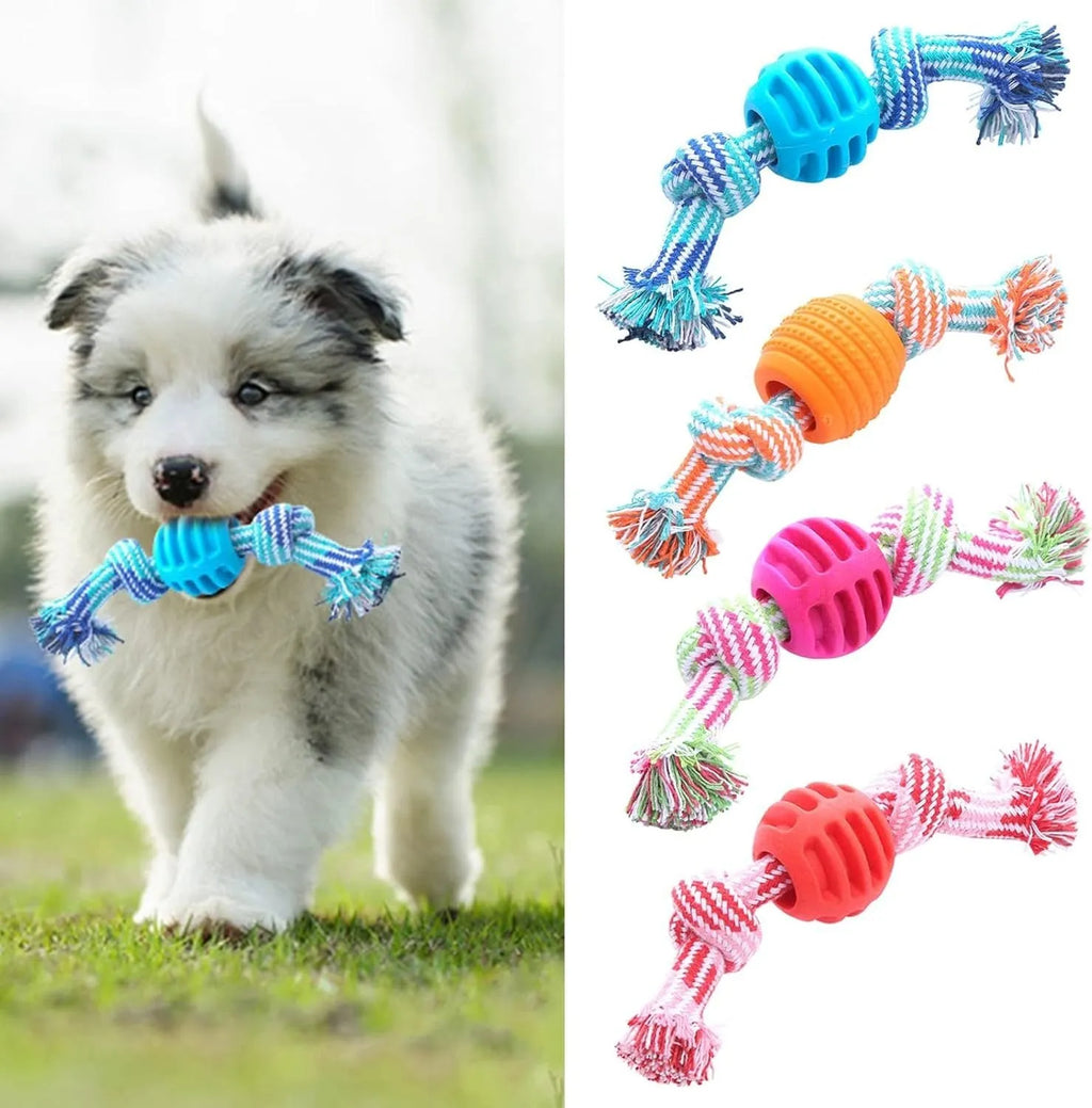 Blue dog chew toy with rope and molar cleaning design for dental hygiene