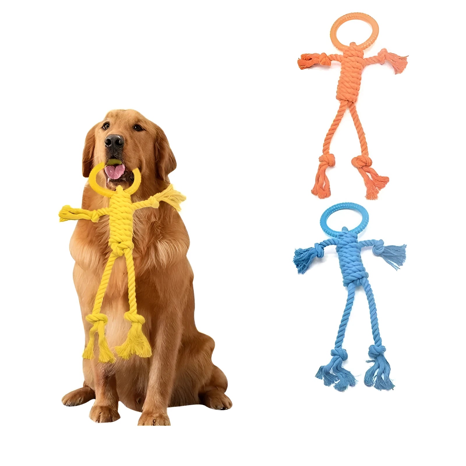 Cotton rope dog chew toy with 14cm ring diameter and 50cm length in blue