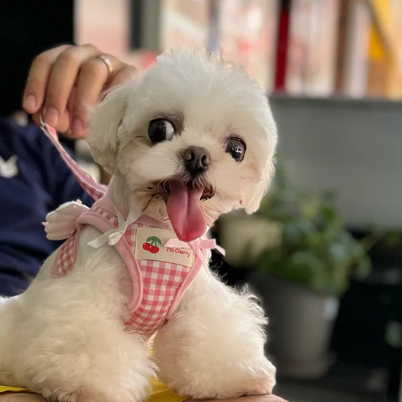 Small dog harness with chest and back connection in black or pink cotton material