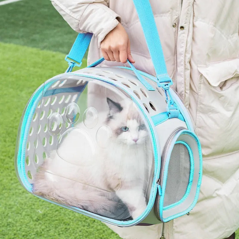 Transparent space capsule style backpack carrier for a cat, shown in lake blue colour, with hard EVA construction.