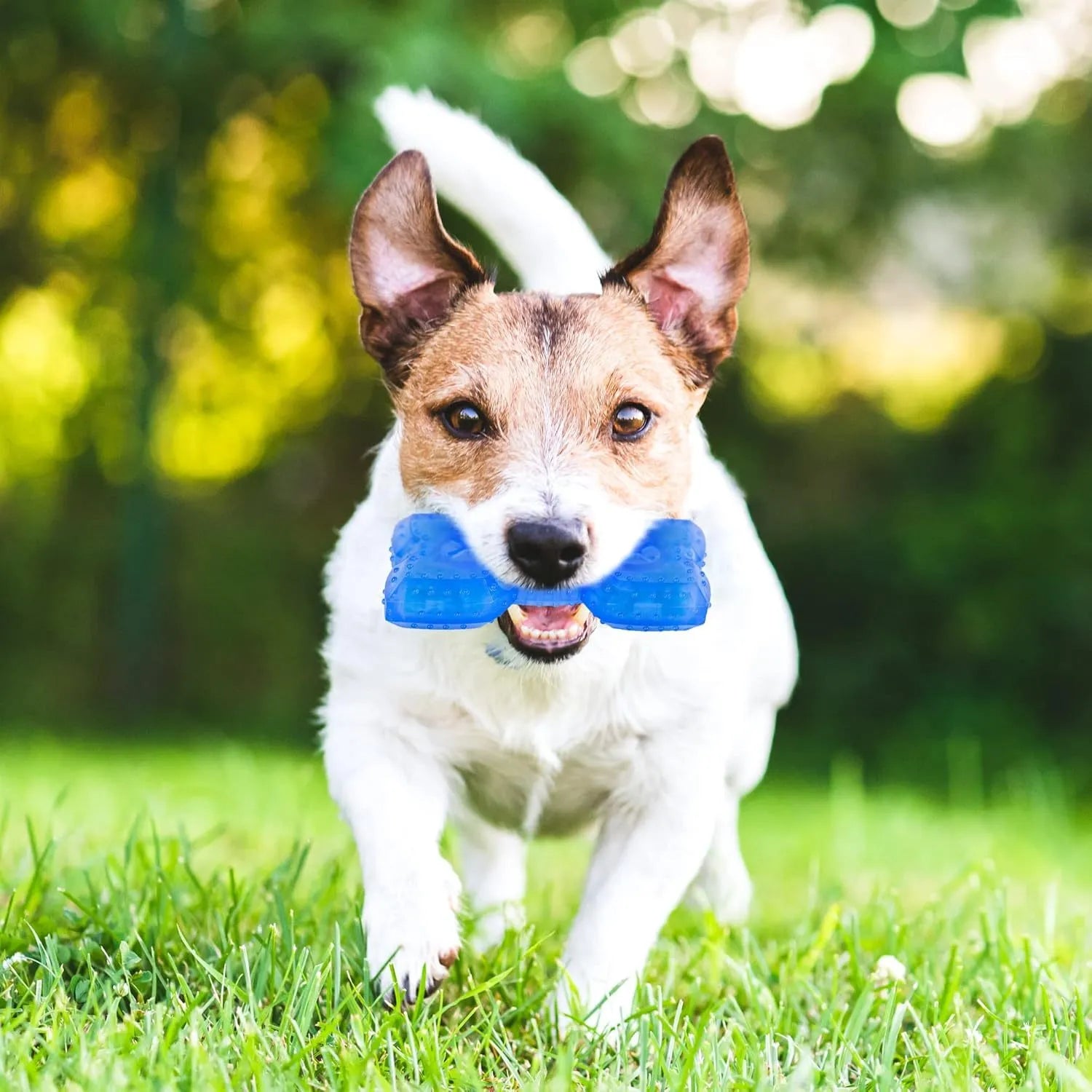 Freezable blue dog chew toy for teething puppies and cooling relief.