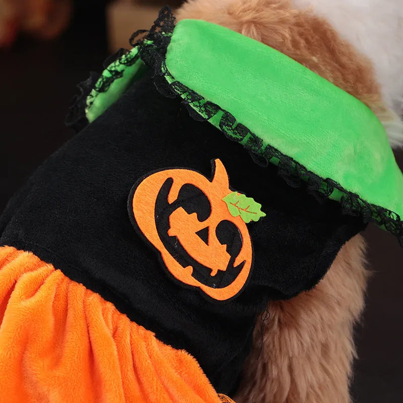 Halloween pumpkin skirt pet costume in crystal velvet material for dogs and cats