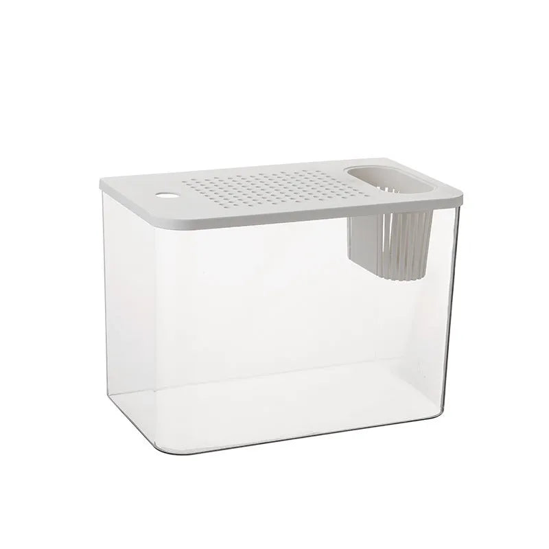Medium black plastic betta fish tank with cover on a desktop