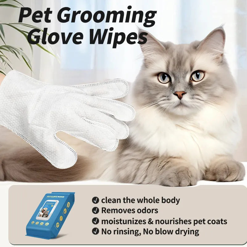 Disposable nitrile gloves with textured surface for pet bath cleaning and hygiene tasks