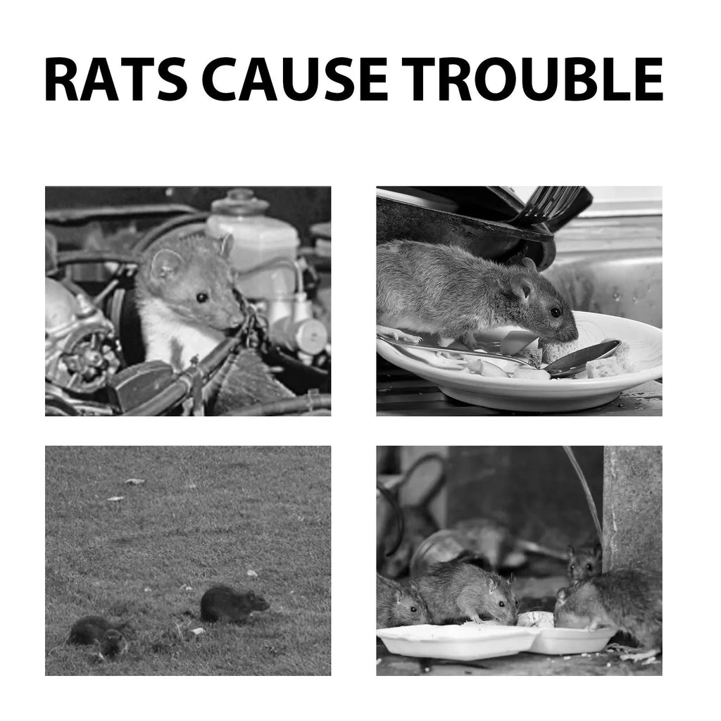60ml bottle of natural rat repellent spray with essential oils of clove, peppermint, camphor, and chili.