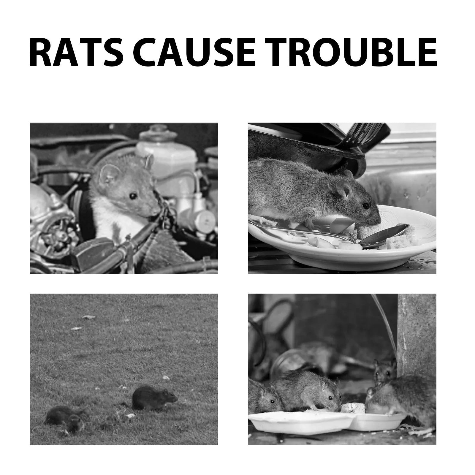 60ml bottle of natural rat repellent spray with essential oils of clove, peppermint, camphor, and chili.