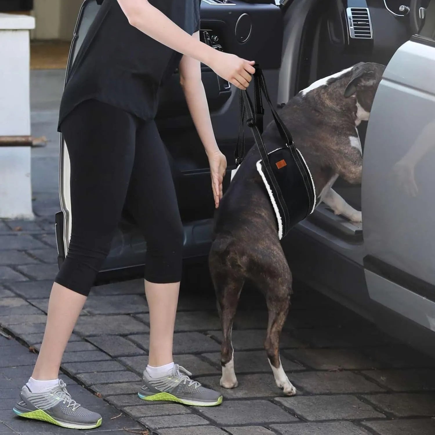 Portable dog sling supporting hind legs, with adjustable reflective straps and soft lining.