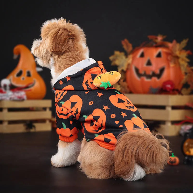 Orange polyester pumpkin sweater for dog or cat in a festive autumn pose