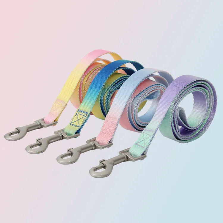 Nylon dog leash and gradient colour collar set in pink and blue, showing S and M size options.