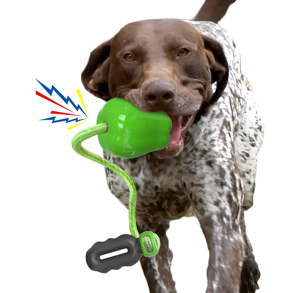 Plastic food dropping ball dog molar toy in green and red apple designs
