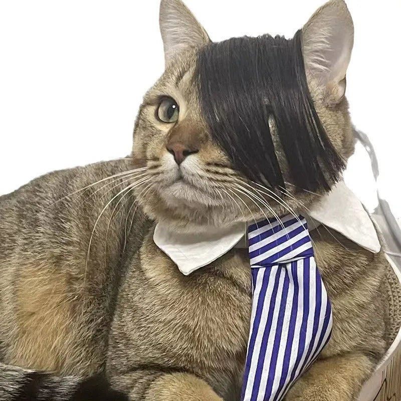 Black polyester cat wig with imitation braid styling for pet dress-up occasions