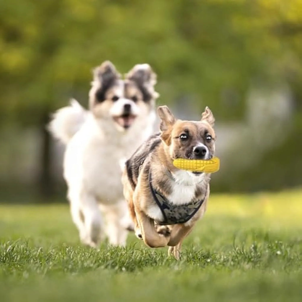 Blue and yellow corn-shaped dog chew toy for medium and large breeds on a white background.
