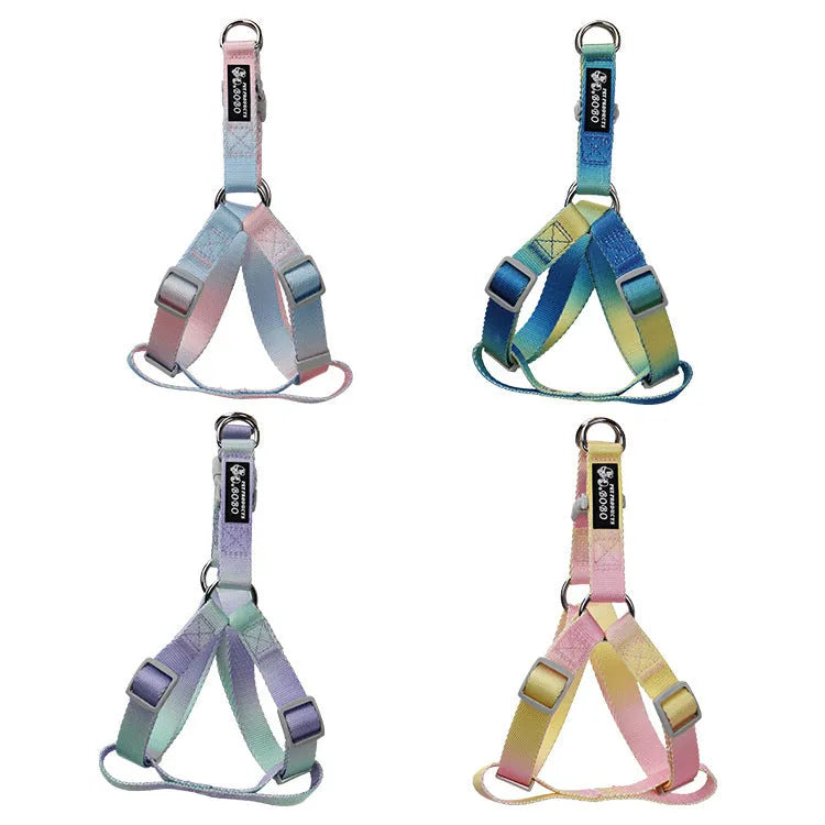 Nylon dog leash and gradient colour collar set in pink and blue, showing S and M size options.
