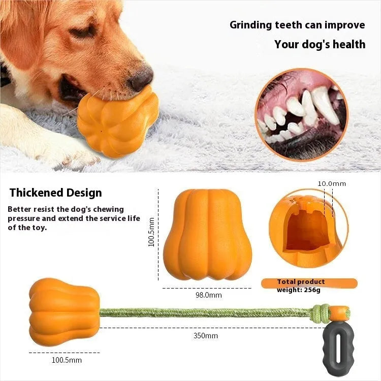 Pumpkin-shaped plastic molar dog toy with rope attached for outdoor chewing and fetch games