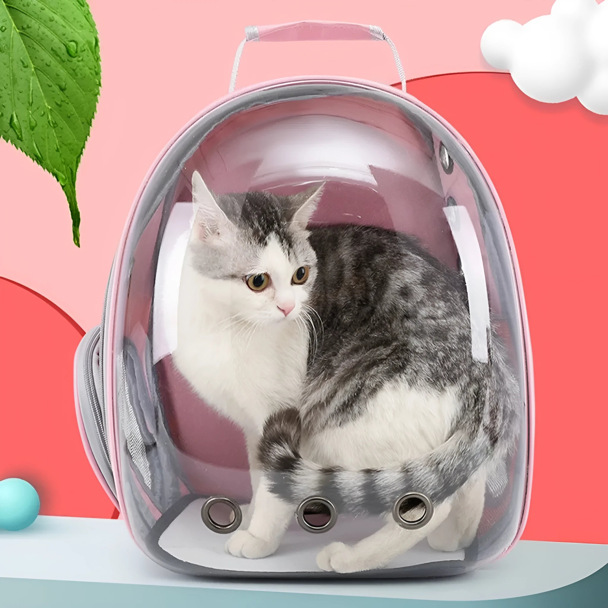 Grey PC plastic astronaut-style pet carrier bag with a side opening door